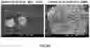 Fig. 06 - Systems, formulations, and methods for removal of ceramic cores from turbine blades after casting