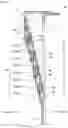 Fig. 09 - SHUTTER DEVICE AND MACHINE TOOL