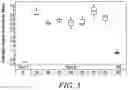 Fig. 06 - IMPROVING AGRONOMIC CHARACTERISTICS IN MAIZE BY MODIFICATION OF ENDOGENOUS MADS BOX TRANSCRIPTION FACTORS