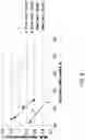 Fig. 09 - Method and apparatus for producing a fiber web