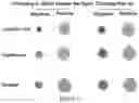 Fig. 15 - Devices, kits and methods for detecting misfolded proteins