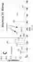 Fig. 06 - Systems and methods for collision induced dissociation of ions in an ion trap