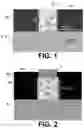Fig. 02 - Method for forming a bioFET sensor including semiconductor fin or nanowire
