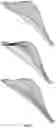 Fig. 10 - Method for design of insoles