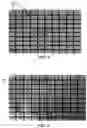 Fig. 04 - SYSTEMS AND METHODS OF NAVIGATION FOR ROBOTIC COLONOSCOPY