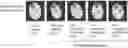 Fig. 01 - Preventative and therapeutic agents for sarcopenia