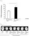 Fig. 04 - Preventative and therapeutic agents for sarcopenia