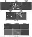 Fig. 06 - Methods for Improving Leptin Sensitivity for the Treatment of Obesity and Diabetes