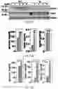 Fig. 09 - Methods for Improving Leptin Sensitivity for the Treatment of Obesity and Diabetes