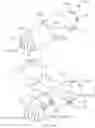 Fig. 01 - Method of delivering a somatostatin compound into a lumen of the intestinal tract using a swallowable drug delivery device