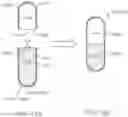 Fig. 19 - Method of delivering a somatostatin compound into a lumen of the intestinal tract using a swallowable drug delivery device