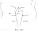 Fig. 35 - Method of delivering a somatostatin compound into a lumen of the intestinal tract using a swallowable drug delivery device