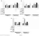 Fig. 11 - Pharmaceutical composition for prevention or treatment of preterm birth