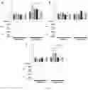 Fig. 12 - Pharmaceutical composition for prevention or treatment of preterm birth