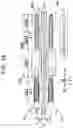 Fig. 19 - Liquid ejecting head and liquid ejecting system