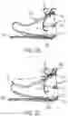 Fig. 03 - Sheet stacker having movable arms maintaining stack quality