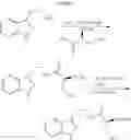 Fig. 367 - COMPOSITIONS AND METHODS FOR TREATING CANCER
