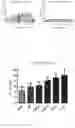 Fig. 02 - Factor B and C2 protein point mutants, a method for enhancing the activity of anti-cancer antibodies, the pharmaceutical composition and the use of mutants