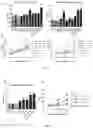 Fig. 03 - Factor B and C2 protein point mutants, a method for enhancing the activity of anti-cancer antibodies, the pharmaceutical composition and the use of mutants