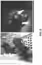 Fig. 09 - Embryonic cell cultures and methods of using the same
