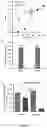 Fig. 04 - METHOD OF CREATING RECOMBINANT MICROORGANISM FOR MANUFACTURING FERMENTATION PRODUCT