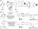Fig. 01 - Methods for inducing bioorthogonal reactivity