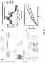 Fig. 09 - Methods for inducing bioorthogonal reactivity