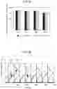 Fig. 07 - Exhaust gas purification system