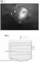 Fig. 02 - PREDICTING SUN LIGHT IRRADIATION INTENSITY WITH NEURAL NETWORK OPERATIONS