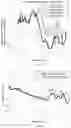 Fig. 19 - Glasses
