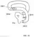 Fig. 48 - Glasses