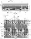 Fig. 08 - Display substrate and display device