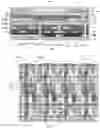 Fig. 09 - Display substrate and display device
