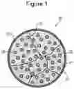 Fig. 02 - Negative electrode active material for secondary batteries and secondary battery