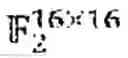 Fig. 197 - Methods and apparatus for systematic encoding of data in error correction coding using triangular factorization of generator matrix