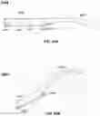 Fig. 32 - Acoustic output apparatus
