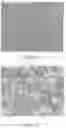 Fig. 04 - ANTIBACTERIAL SURFACE OF METAL-ORGANIC FRAMEWORK-CHITOSAN COMPOSITE FILMS
