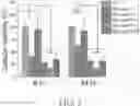 Fig. 08 - ANTIBACTERIAL SURFACE OF METAL-ORGANIC FRAMEWORK-CHITOSAN COMPOSITE FILMS