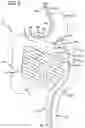Fig. 02 - Incisionless gastric bypass system