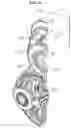 Fig. 09 - Driving module and motion assistance apparatus including the same