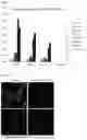 Fig. 03 - Corroles for treating poxvirus infection