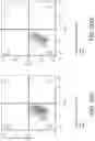 Fig. 22 - Sphingosine pathway modulating compounds for the treatment of cancers