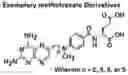 Fig. 01 - Alpha polyglutamated methotrexate and uses thereof