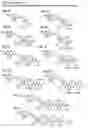 Fig. 02 - Alpha polyglutamated methotrexate and uses thereof