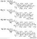 Fig. 03 - Alpha polyglutamated methotrexate and uses thereof