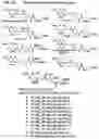 Fig. 05 - Alpha polyglutamated methotrexate and uses thereof