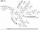 Fig. 07 - Alpha polyglutamated methotrexate and uses thereof