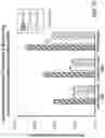 Fig. 18 - Alpha polyglutamated methotrexate and uses thereof