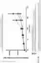 Fig. 25 - Alpha polyglutamated methotrexate and uses thereof