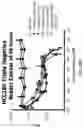 Fig. 29 - Alpha polyglutamated methotrexate and uses thereof